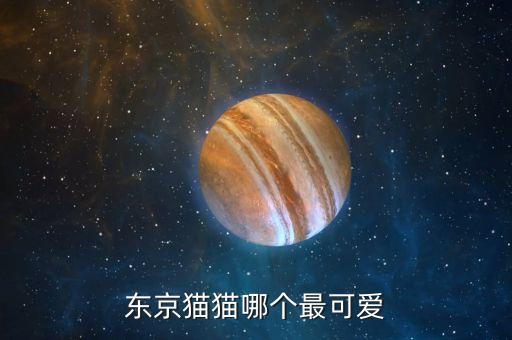 东京猫猫哪个最可爱