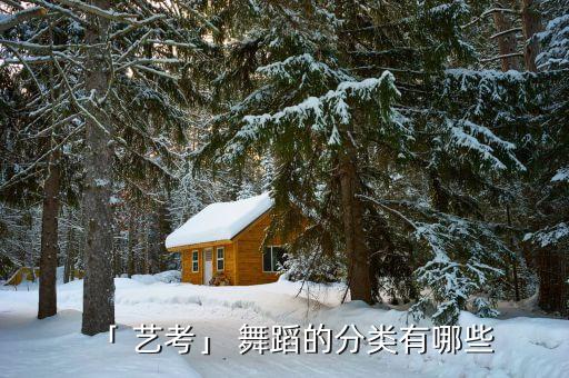 「 艺考」 舞蹈的分类有哪些