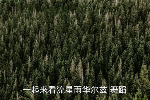 一起来看流星雨华尔兹 舞蹈