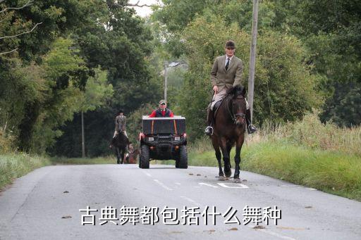 古典舞都包括什么舞种