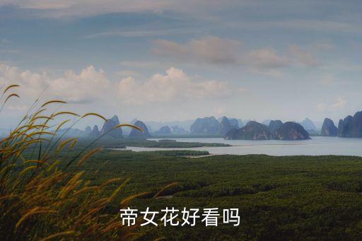 帝女花好看吗