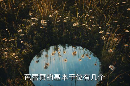 芭蕾舞的基本手位有几个