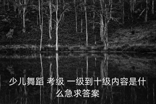 中国舞蹈家考级一级