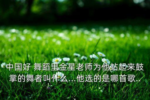 中国好 舞蹈里金星老师为他站起来鼓掌的舞者叫什么…他选的是哪首歌...