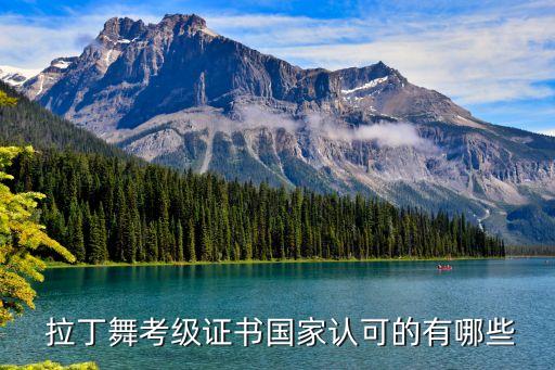  拉丁舞考级证书国家认可的有哪些