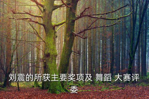 刘震的所获主要奖项及 舞蹈 大赛评委
