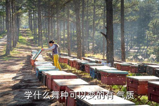 学什么舞种可以变的有 气质