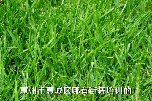 蓝月亮舞蹈女男,新民蓝月亮舞蹈中心