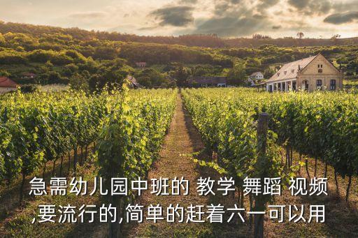 急需幼儿园中班的 教学 舞蹈 视频,要流行的,简单的赶着六一可以用