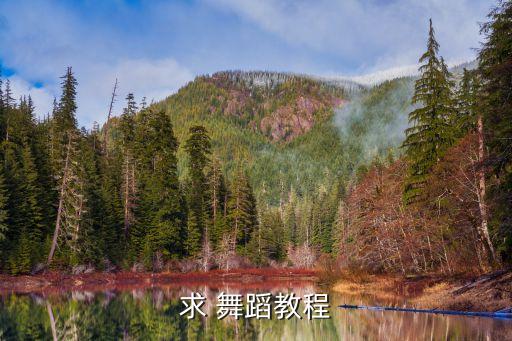 古典小舞蹈教学视频,古典舞蹈教学视频《但愿人长久》