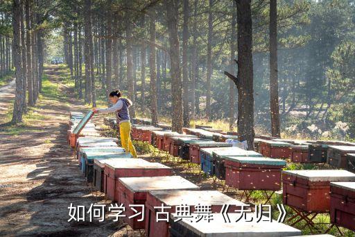 古典身韵舞蹈视频大全,古典声韵组合舞蹈