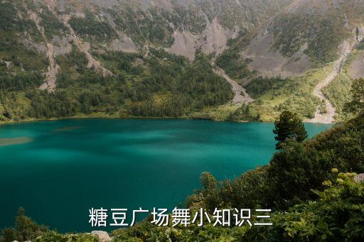 糖豆广场舞小知识三