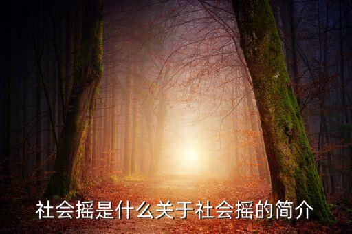 社会摇是什么关于社会摇的简介