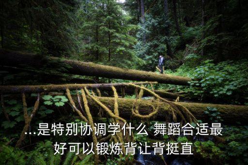 学舞蹈背部练习,舞蹈生的背部图片