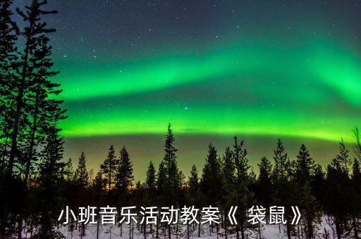 小班音乐活动教案《 袋鼠》