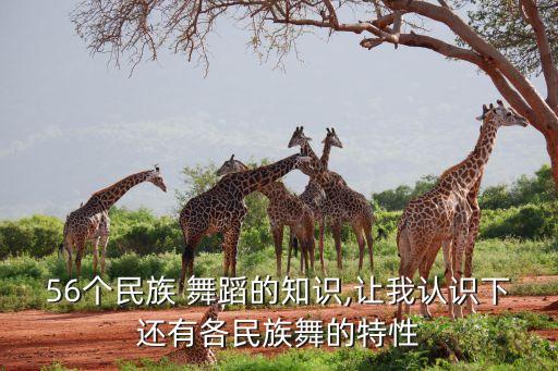 56个民族 舞蹈的知识,让我认识下还有各民族舞的特性