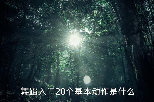  舞蹈入门20个基本动作是什么