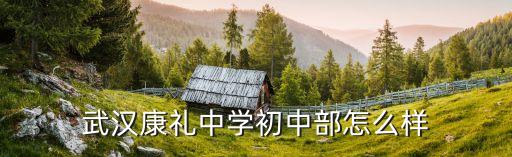武汉康礼中学初中部怎么样