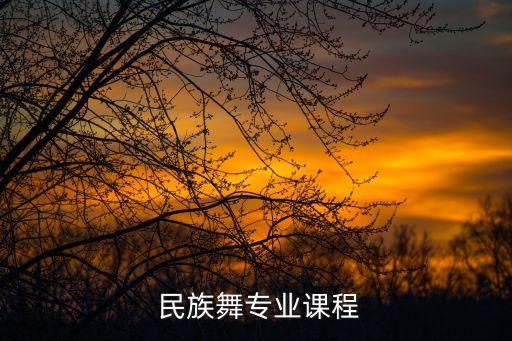 中国民族民间舞蹈教学