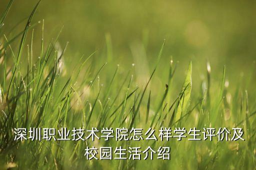  深圳职业技术学院怎么样学生评价及校园生活介绍