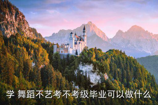 学 舞蹈不艺考不考级毕业可以做什么
