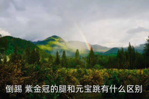 倒踢 紫金冠的腿和元宝跳有什么区别