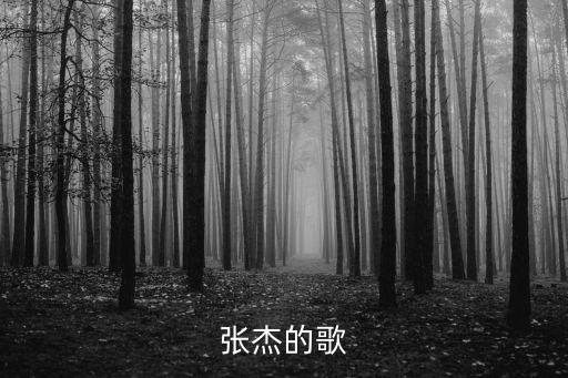 张杰的歌