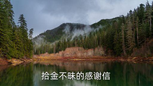 拾金不昧的感谢信