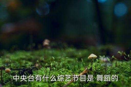 中央台有什么综艺节目是 舞蹈的