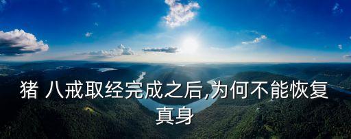 王广成八戒舞蹈视频下载