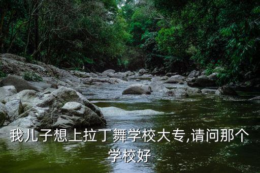我儿子想上拉丁舞学校大专,请问那个学校好