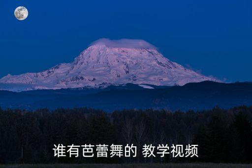 谁有芭蕾舞的 教学视频