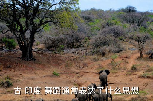 古 印度 舞蹈通常表达了什么思想