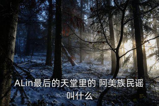 八级舞蹈阿美队伍,中国民族民间七级舞蹈阿美队伍