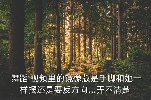 是你镜面舞蹈教学视频,antifragile舞蹈镜面教学
