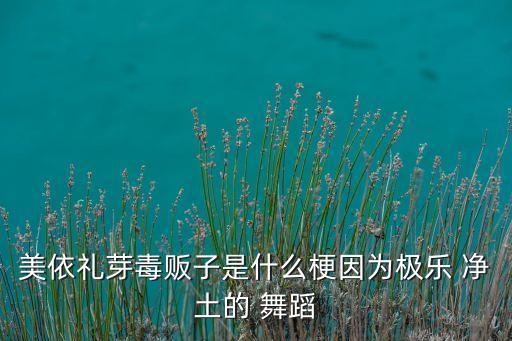 美依礼芽毒贩子是什么梗因为极乐 净土的 舞蹈