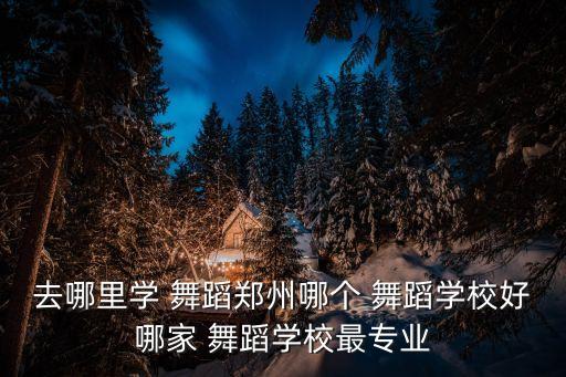 舞蹈培训服务部,丹舞舞蹈培训