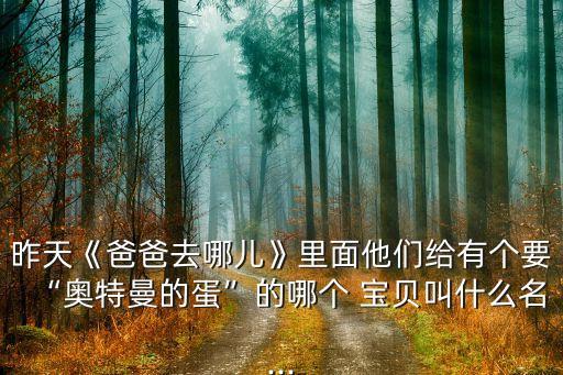 宝贝去哪儿幼儿舞蹈,爸爸去哪儿幼儿舞蹈节目串词