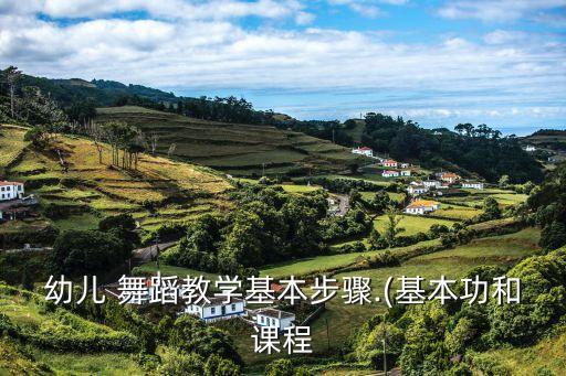 幼儿 舞蹈教学基本步骤.(基本功和课程