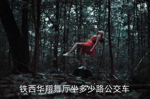 沈阳市铁西区舞蹈班,沈阳铁西区舞蹈班哪个好
