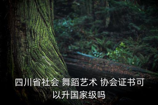  四川省社会 舞蹈艺术 协会证书可以升国家级吗