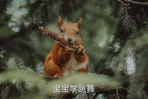 宝宝学跳舞
