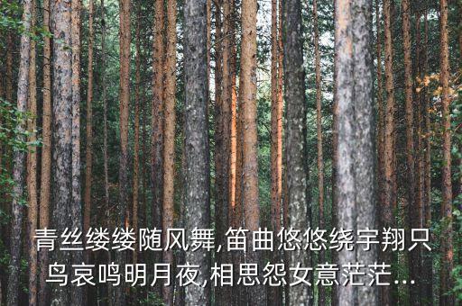  青丝缕缕随风舞,笛曲悠悠绕宇翔只鸟哀鸣明月夜,相思怨女意茫茫...