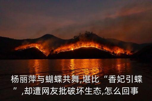  杨丽萍与蝴蝶共舞,堪比“香妃引蝶”,却遭网友批破坏生态,怎么回事