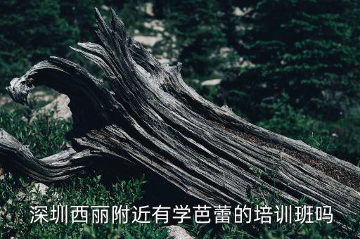 深圳三岁儿童舞蹈班,深圳儿童舞蹈机构哪家比较好