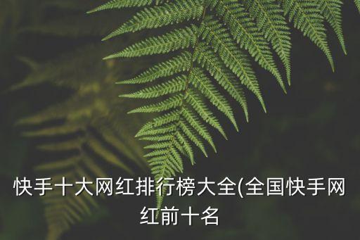 快手十大网红排行榜大全(全国快手网红前十名