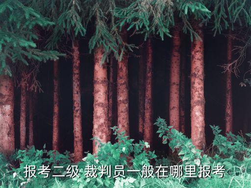 报考二级 裁判员一般在哪里报考