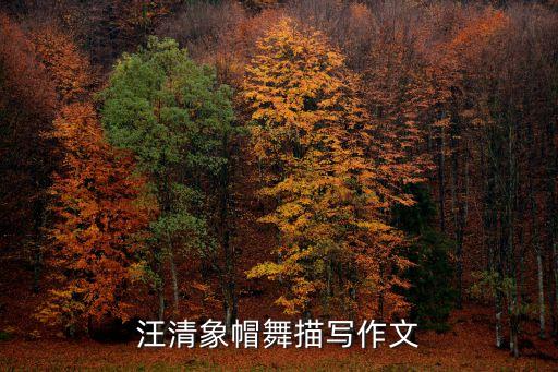 汪清象帽舞描写作文