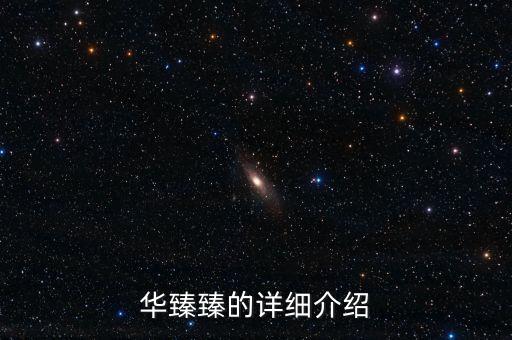 华臻臻的详细介绍
