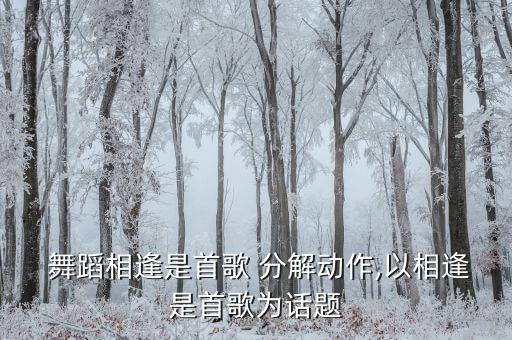  舞蹈相逢是首歌 分解动作,以相逢是首歌为话题